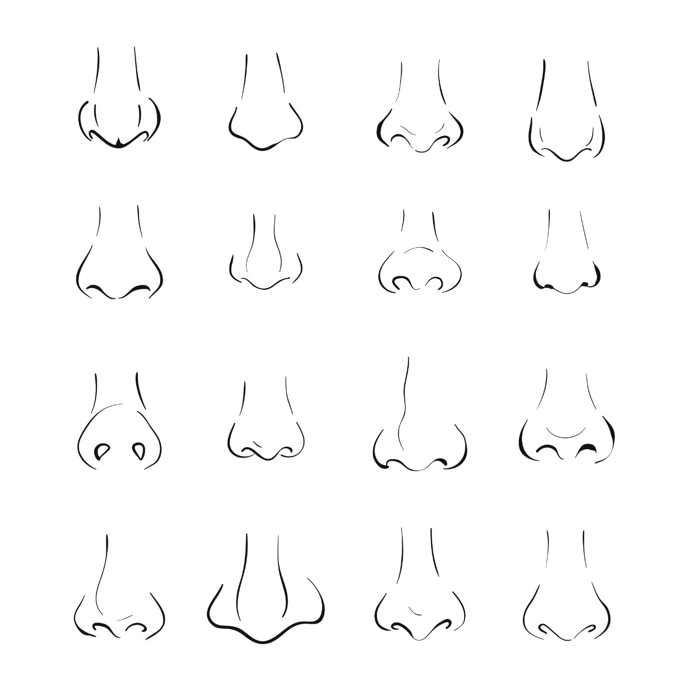 Grafik verschiedener Nasenformen