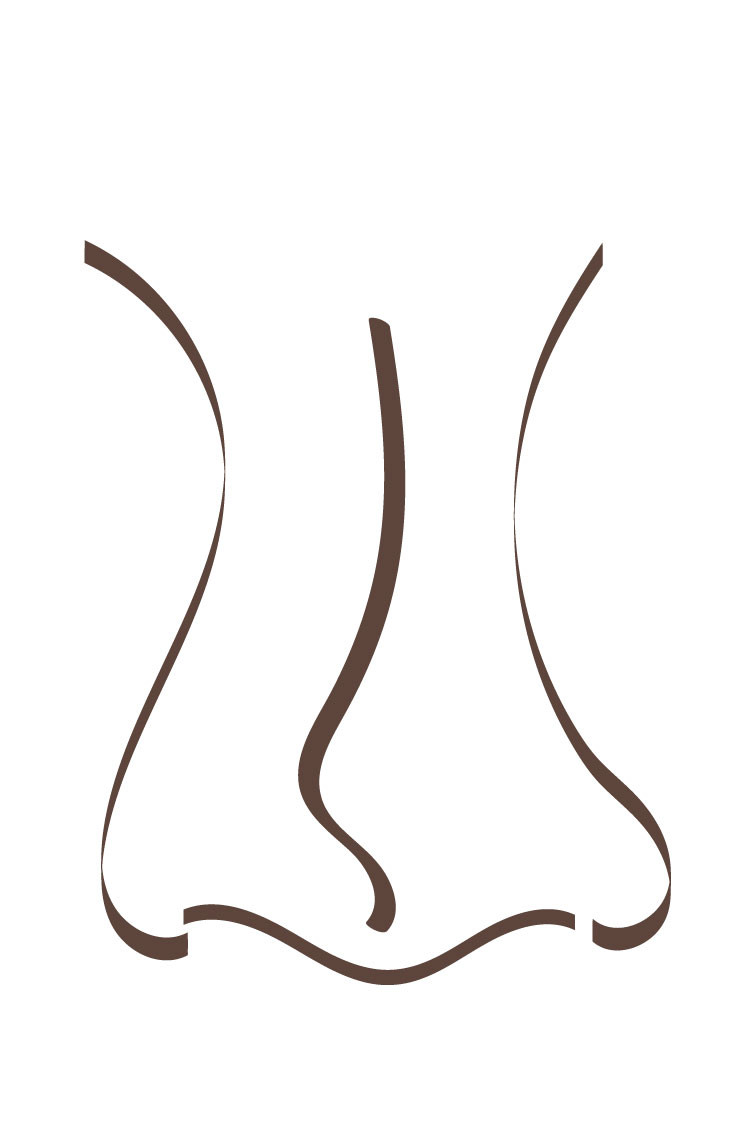 Grafik einer Nasenscheidewandverkrümmung