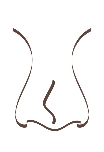Grafik einer Nasenspitzenverformung