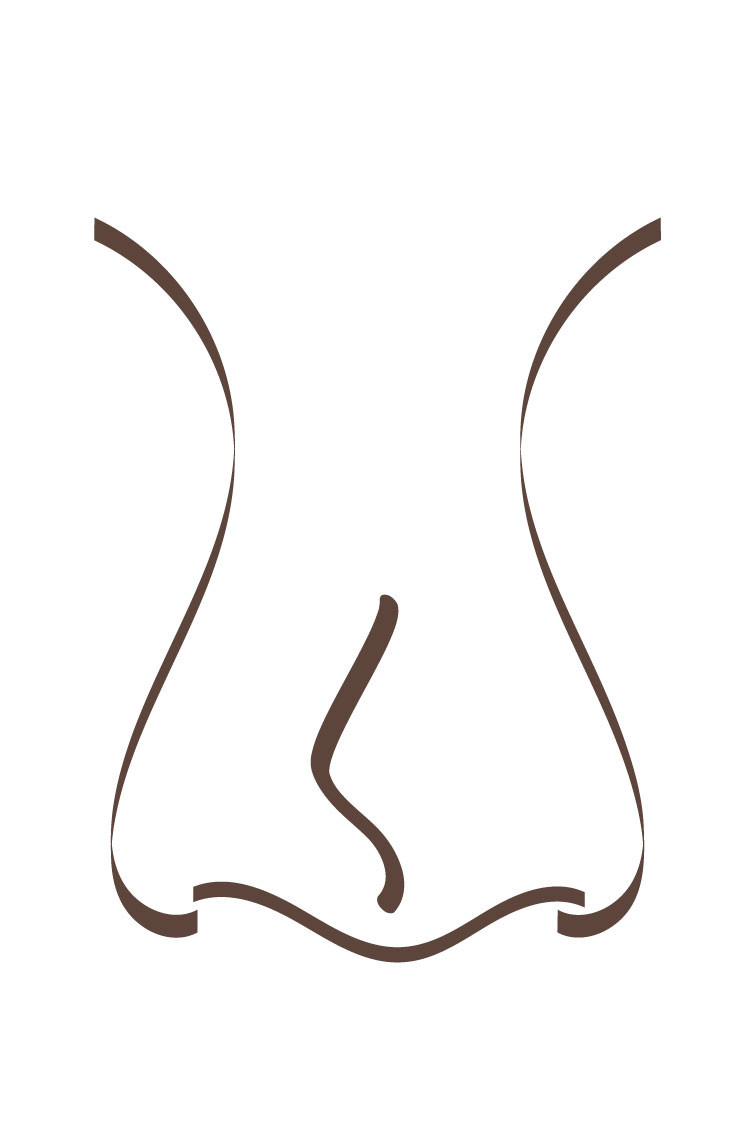 Grafik einer Nasenspitzenverformung