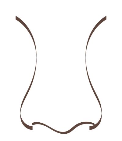 Grafik einer Breitnase