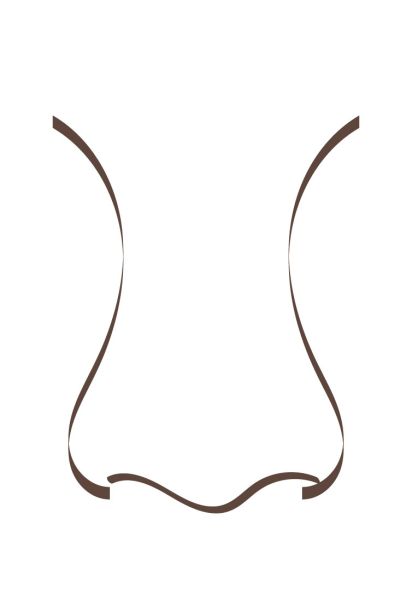 Grafik einer Breitnase