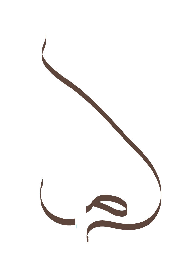 Grafik einer Großnase