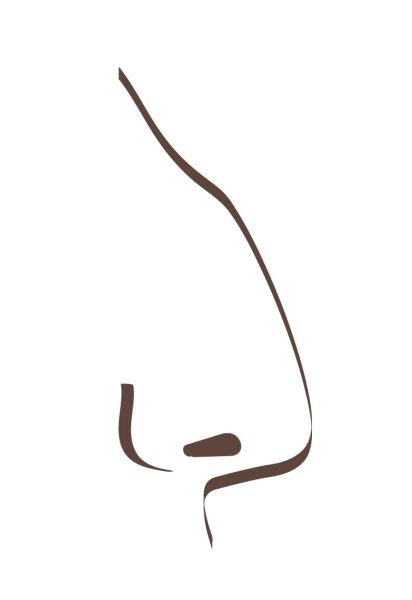 Grafik einer Höckernase