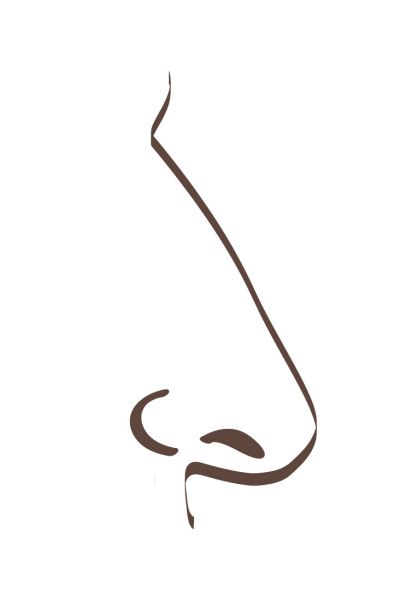 Grafik einer Langnase