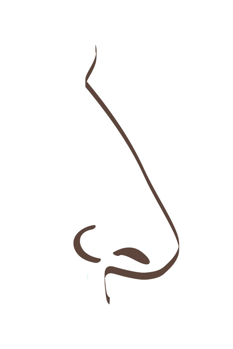 Grafik einer Langnase