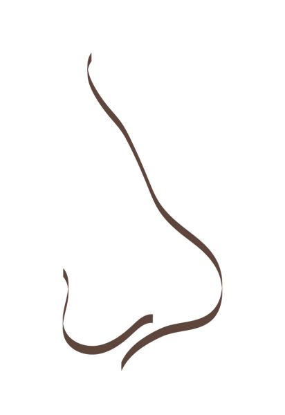 Grafik einer Sattelnase
