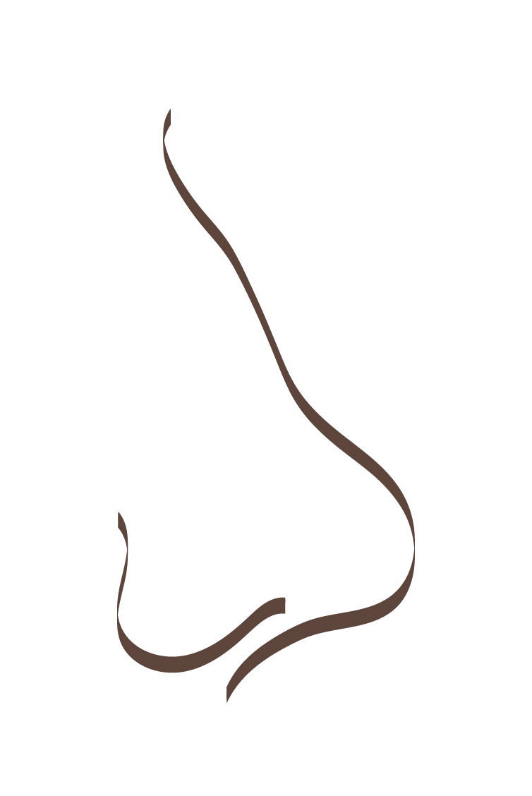 Grafik einer Sattelnase